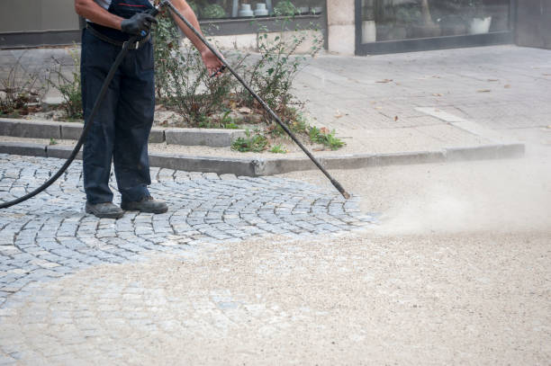 Animal Enclosure Cleaning in Parker, CO